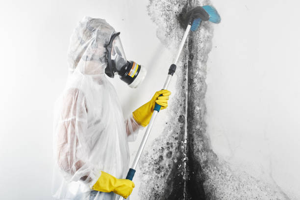 Best Emergency Mold Remediation  in Crugers, NY