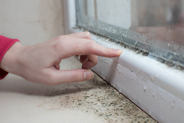 Best Post-Construction Mold Inspection  in Crugers, NY
