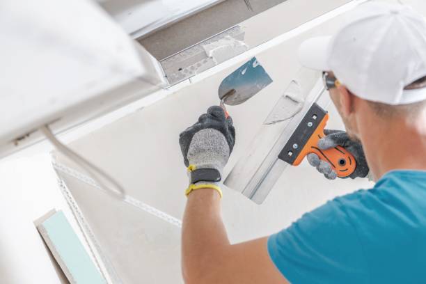 Best Attic Mold Removal  in Crugers, NY